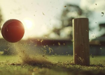 Flipper in Cricket | Reddy Anna Report